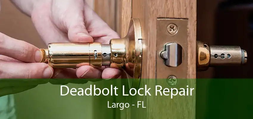 Deadbolt Lock Repair Largo - FL