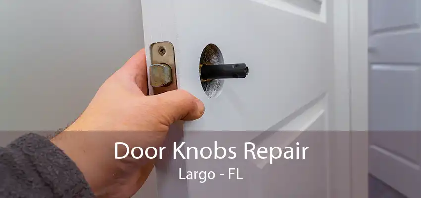 Door Knobs Repair Largo - FL