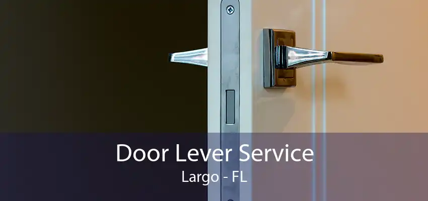 Door Lever Service Largo - FL