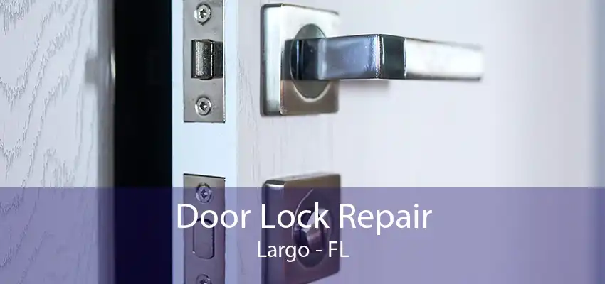 Door Lock Repair Largo - FL