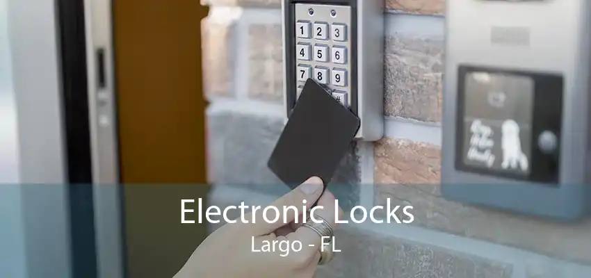 Electronic Locks Largo - FL