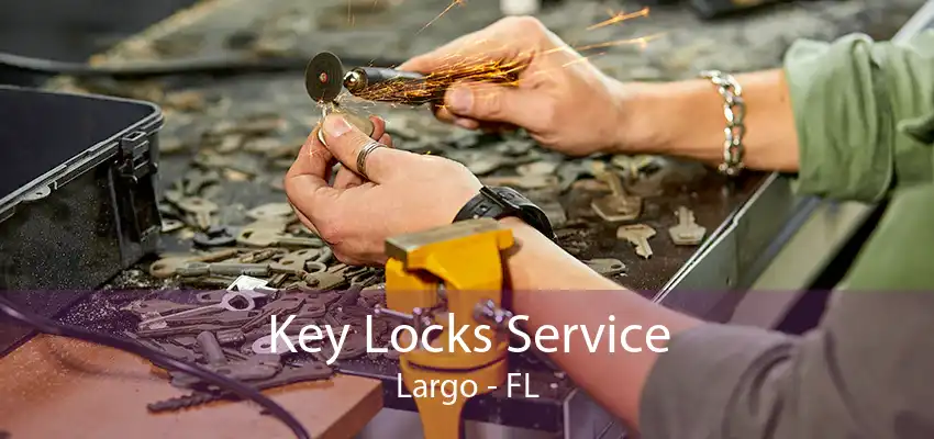 Key Locks Service Largo - FL