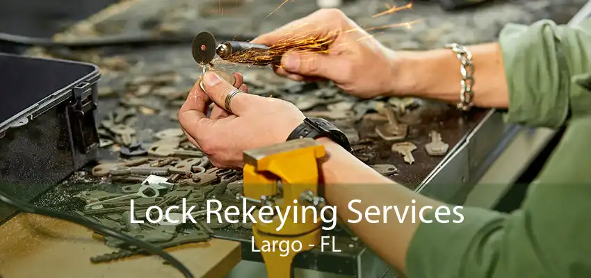 Lock Rekeying Services Largo - FL