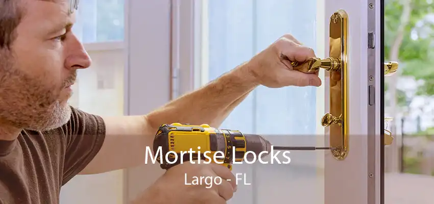 Mortise Locks Largo - FL