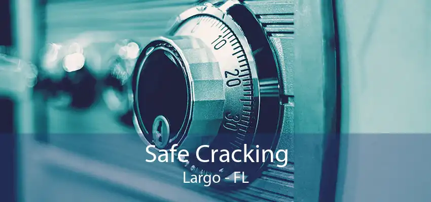 Safe Cracking Largo - FL